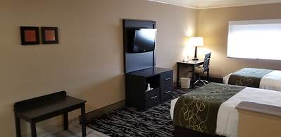 Comfort Suites Kingwood Houston North