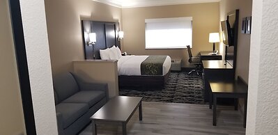 Comfort Suites Kingwood Houston North