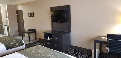 Comfort Suites Kingwood Houston North