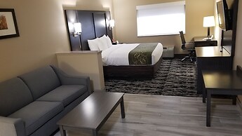 Comfort Suites Kingwood Houston North