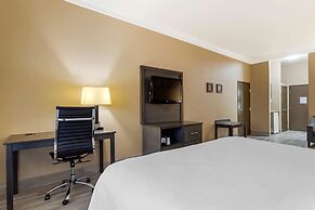 Comfort Suites Kingwood Houston North