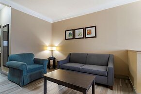 Comfort Suites Kingwood Houston North