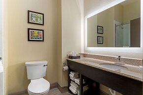Comfort Suites Kingwood Houston North