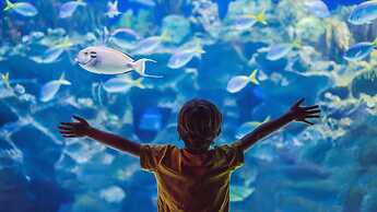 Holiday Inn Bangkok by IHG