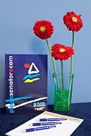 Senator Parque Central Hotel