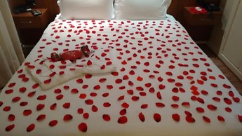 The World Vila Olímpia