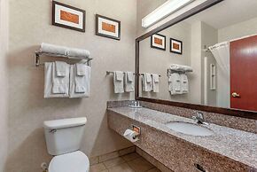 Comfort Suites Castle Rock