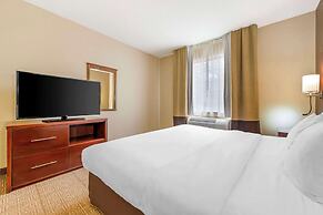 Comfort Suites Castle Rock