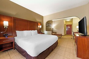 Comfort Suites Castle Rock