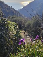 Hotel Monte Rosa
