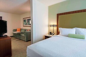 Springhill Suites By Marriott Baton Rouge South