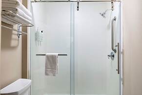 Springhill Suites By Marriott Baton Rouge South