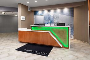 Springhill Suites By Marriott Baton Rouge South