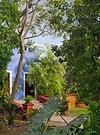 Hacienda San Jose Cholul