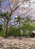 Hacienda San Jose Cholul