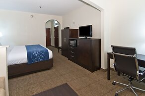 Comfort Suites New Orleans East