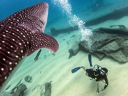 Corazón Cabo, a Noble House Resort