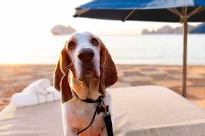 Corazón Cabo, a Noble House Resort