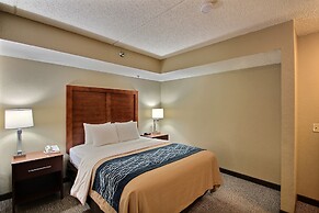 Comfort Inn & Suites Jackson - West Bend
