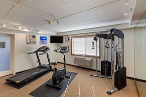 Comfort Inn & Suites Jackson - West Bend
