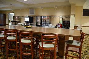 Country Inn & Suites by Radisson, Dundee, MI