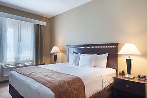 Comfort Suites Beachside
