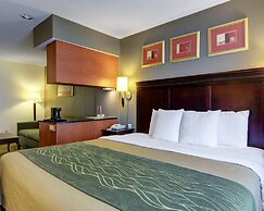 Comfort Inn & Suites Airport Dulles - Gateway