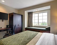 Comfort Inn & Suites Airport Dulles - Gateway