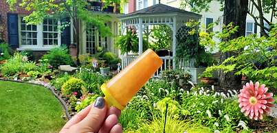 Pettigru Place Bed & Breakfast
