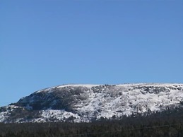 Comerford's Ocean View Efficiency Units