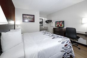 Red Roof Inn Cleveland - Medina