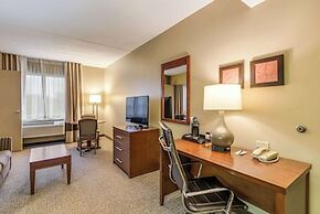 Comfort Suites Chicago O'Hare Airport