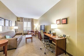 Comfort Suites Chicago O'Hare Airport