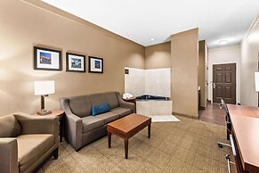 Comfort Inn & Suites Columbus East