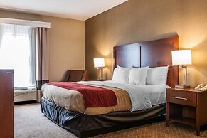 Comfort Inn East