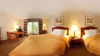 Comfort Inn East