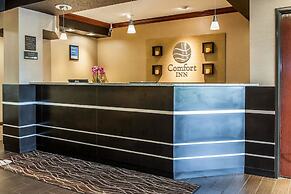 Comfort Inn East