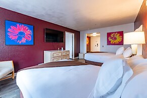 Hotel Jefe at Ojos Locos