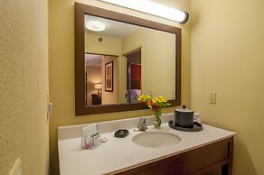 Hampton Inn & Suites Tampa-North