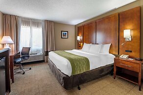Comfort Inn Romeoville - Bolingbrook