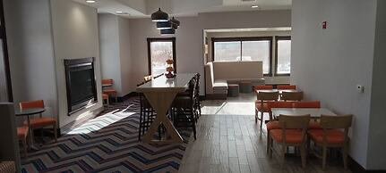 Hampton Inn Birch Run/Frankenmuth
