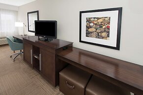 Hampton Inn Birch Run/Frankenmuth