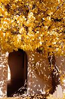 Sagebrush Inn & Suites