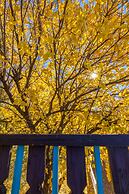 Sagebrush Inn & Suites