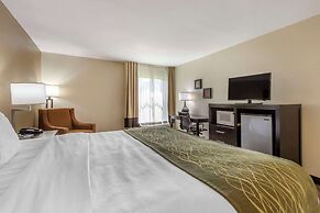 Comfort Inn Marion near Downtown & Blue Ridge PKWY