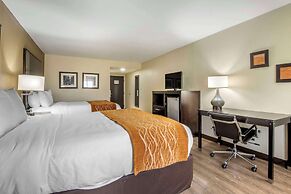Comfort Inn Marion near Downtown & Blue Ridge PKWY