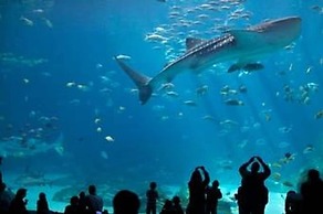 Baymont by Wyndham Kennesaw