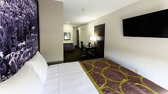 Super 8 by Wyndham High Point/Greensboro