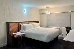 The Vic, Ascend Hotel Collection