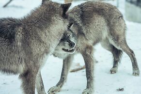 Gray Wolf Inn & Suites